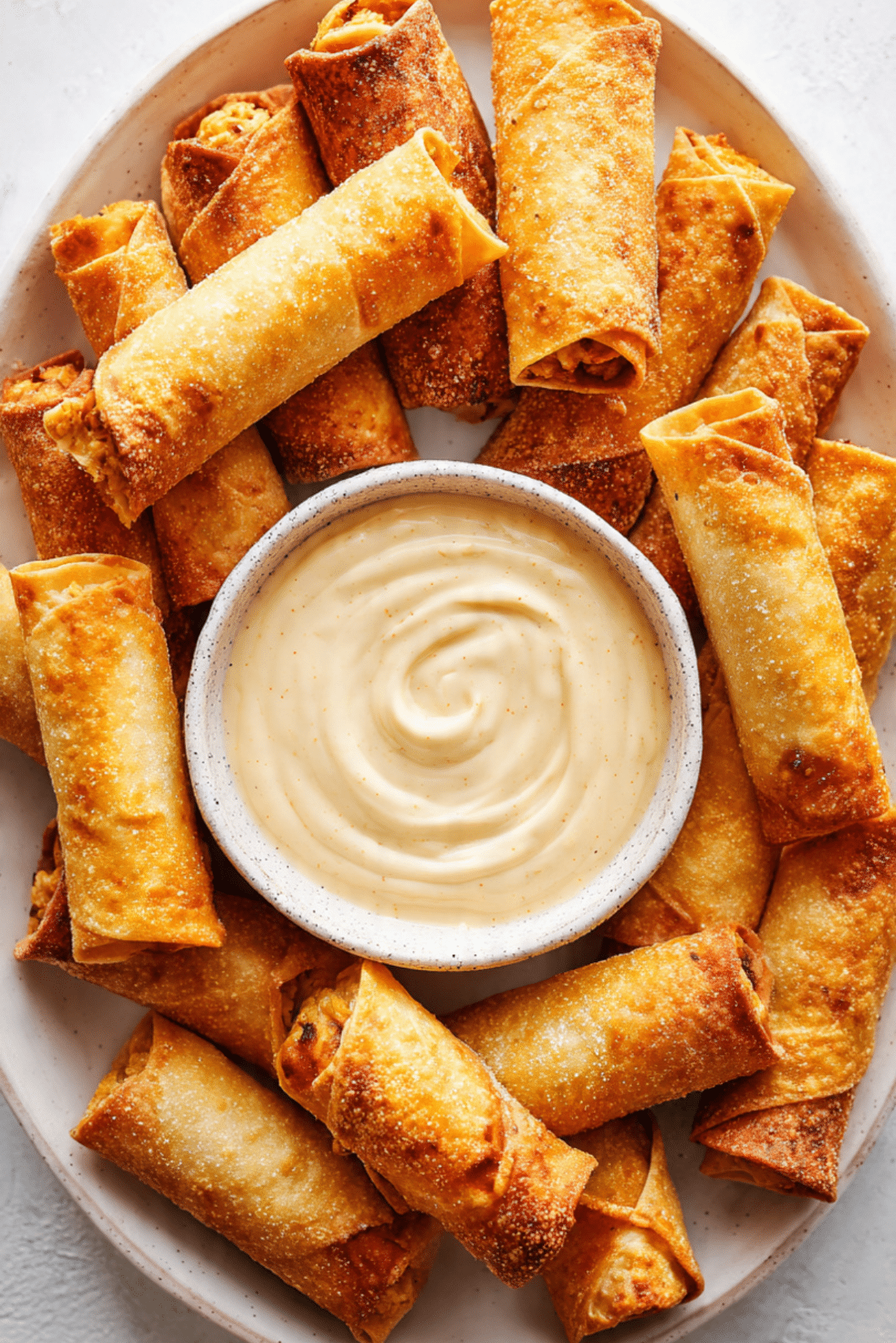Soft Chicken Taquitos and Southwestern Dip
