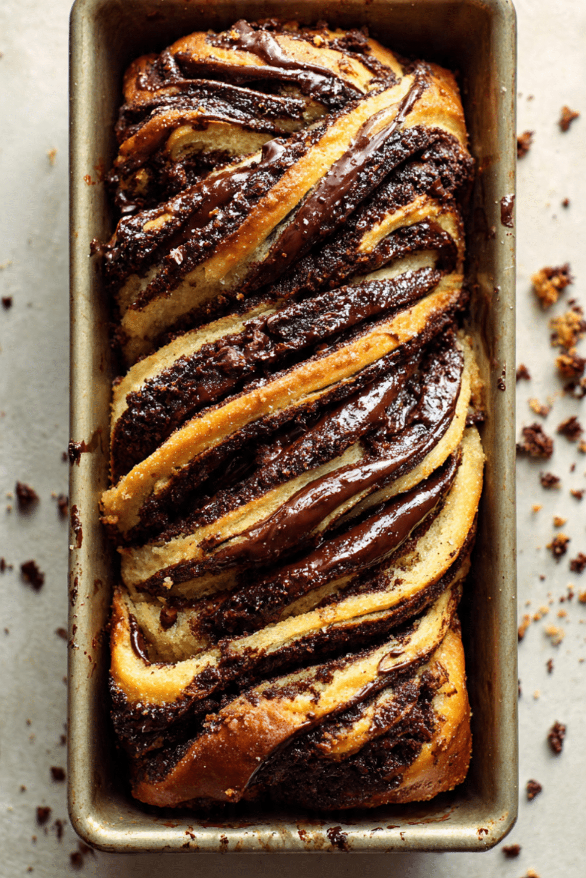 Rich Chocolate Babka Bread