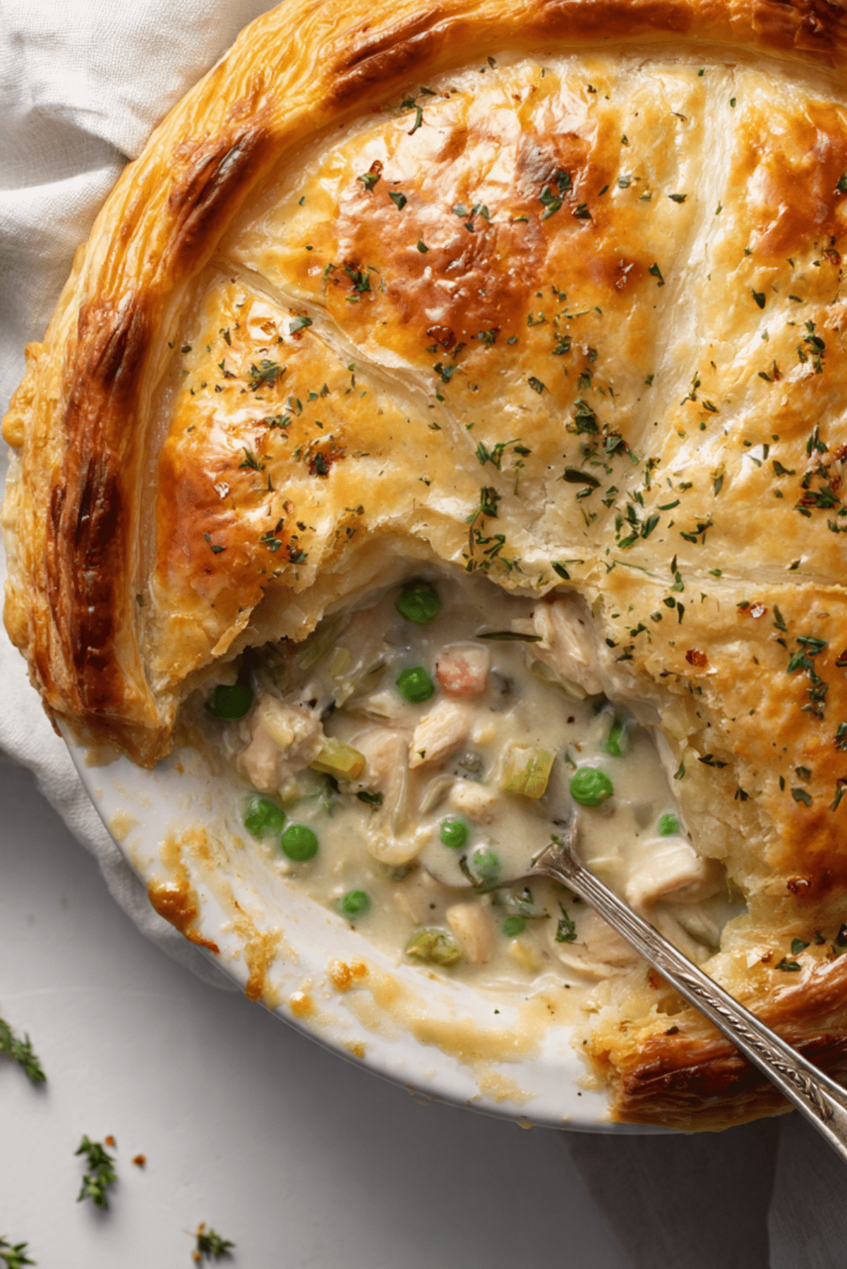 Creamy Chicken and Leek Pot Pie