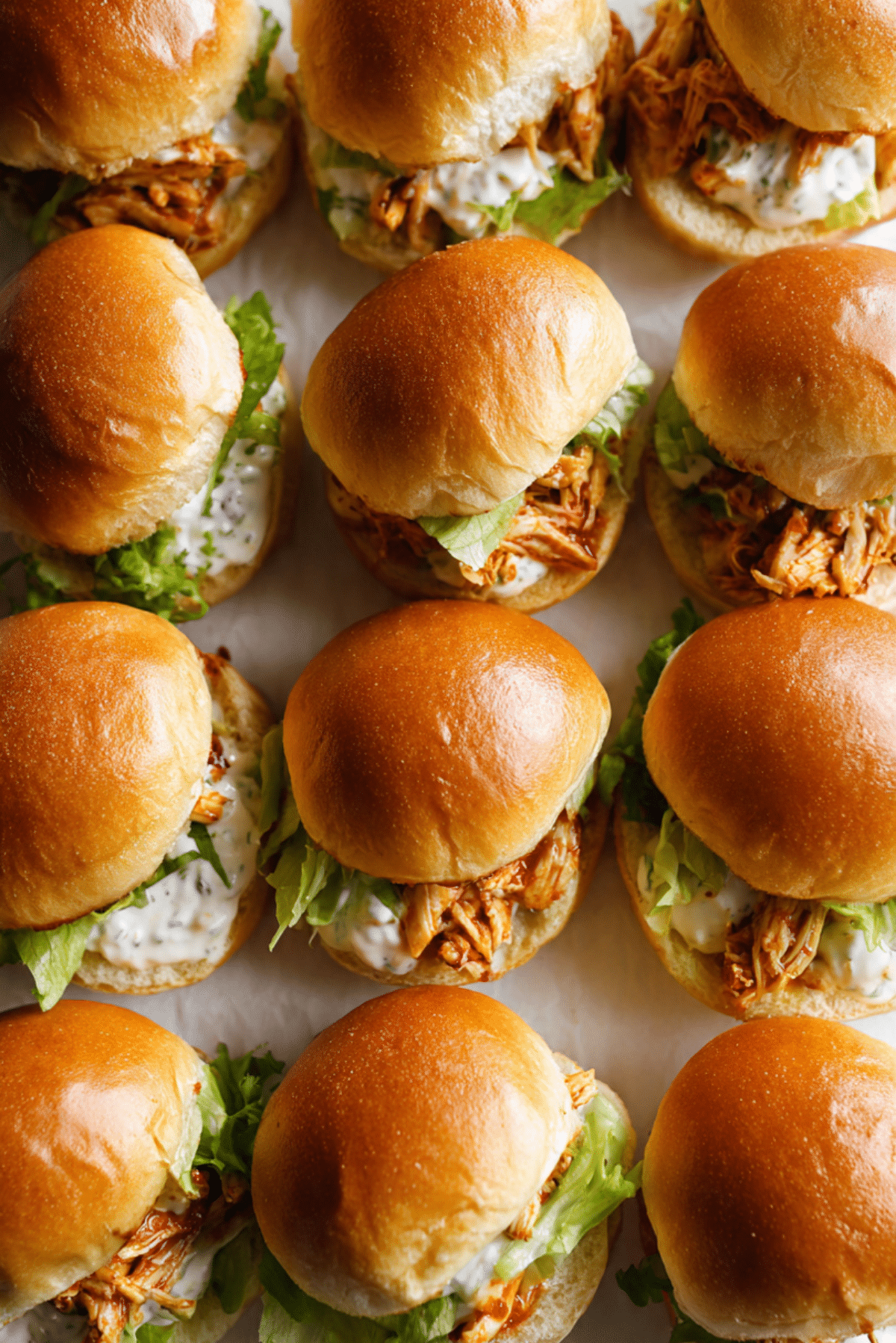 creamy harissa chicken slider buns